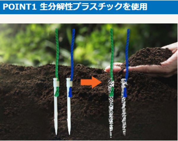 画像2: バイオポイント杭　橙 (2)