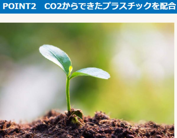 画像4: バイオポイント杭　橙 (4)