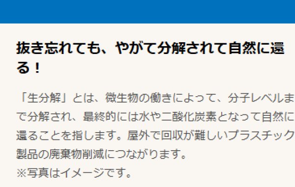画像3: バイオポイント杭　橙 (3)